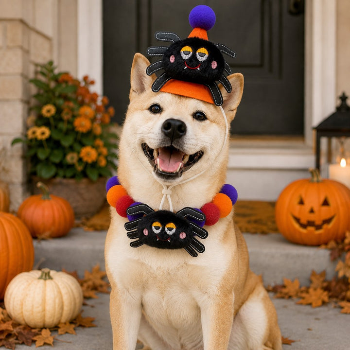 Halloween Pet Hat & Pom-Pom Collar Set for Dogs & Cats