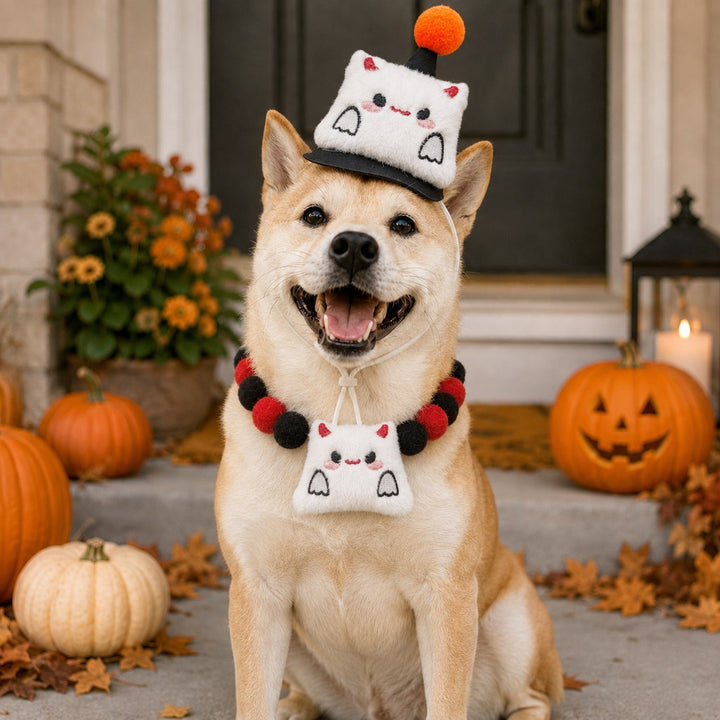 Halloween Pet Hat & Pom-Pom Collar Set for Dogs & Cats