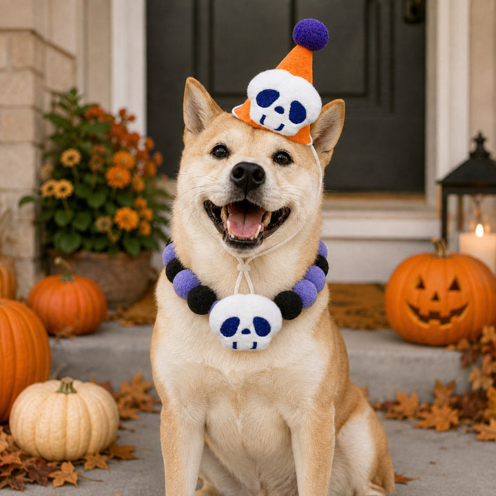 Halloween Pet Hat & Pom-Pom Collar Set for Dogs & Cats