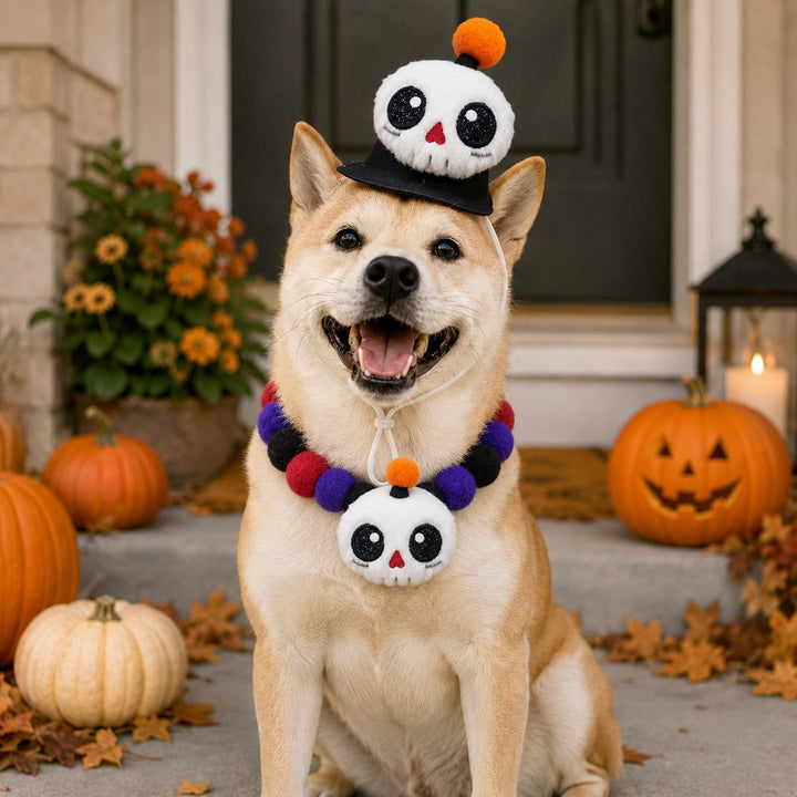 Halloween Pet Hat & Pom-Pom Collar Set for Dogs & Cats
