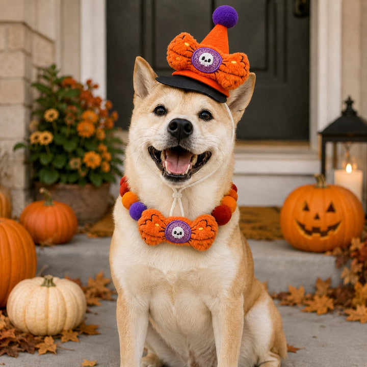 Halloween Pet Hat & Pom-Pom Collar Set for Dogs & Cats