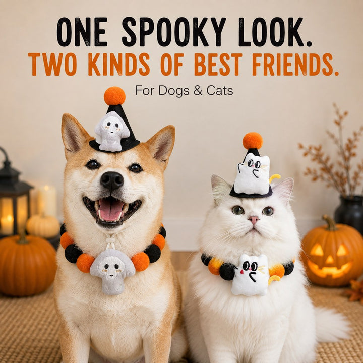 Halloween Pet Hat & Pom-Pom Collar Set for Dogs & Cats