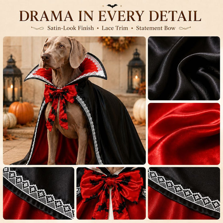 Halloween Vampire Dog Cape Costume