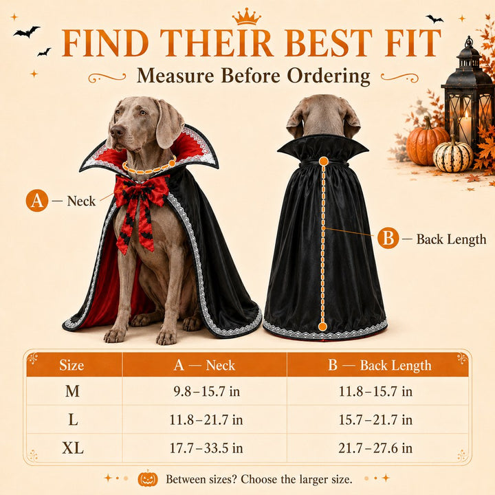 Halloween Vampire Dog Cape Costume