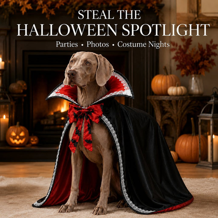 Halloween Vampire Dog Cape Costume