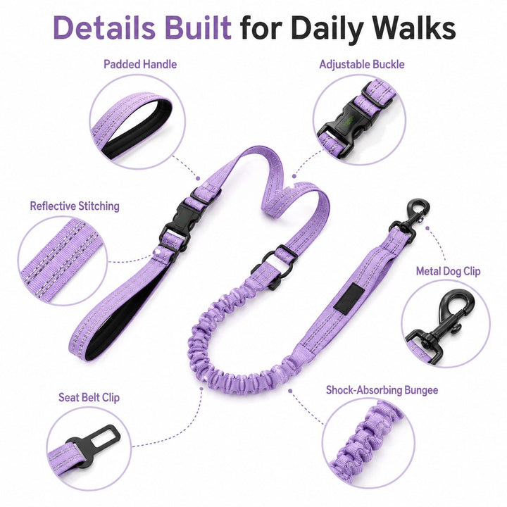 Hands-Free Shock-Absorbing Dog Leash for Running, Walking & Car Travel