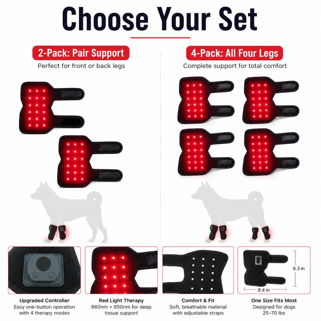 Rechargeable Red Light Therapy Dog Knee Wrap for Senior Dogs