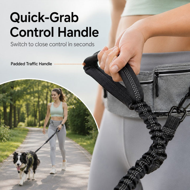 Hands-Free Dog Running Leash Waist Belt