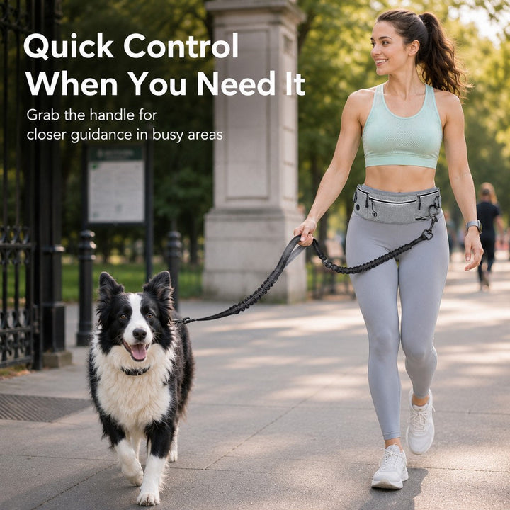Hands-Free Dog Running Leash Waist Belt