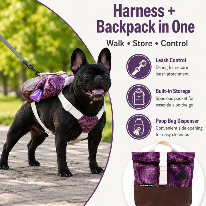 Frenchie Adventure Backpack Harness for Daily Walks