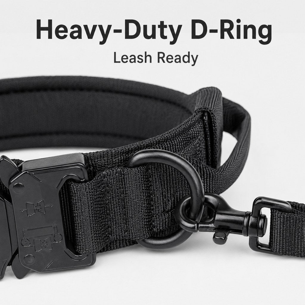 Heavy-Duty Tactical Dog Collar for Walks & Training