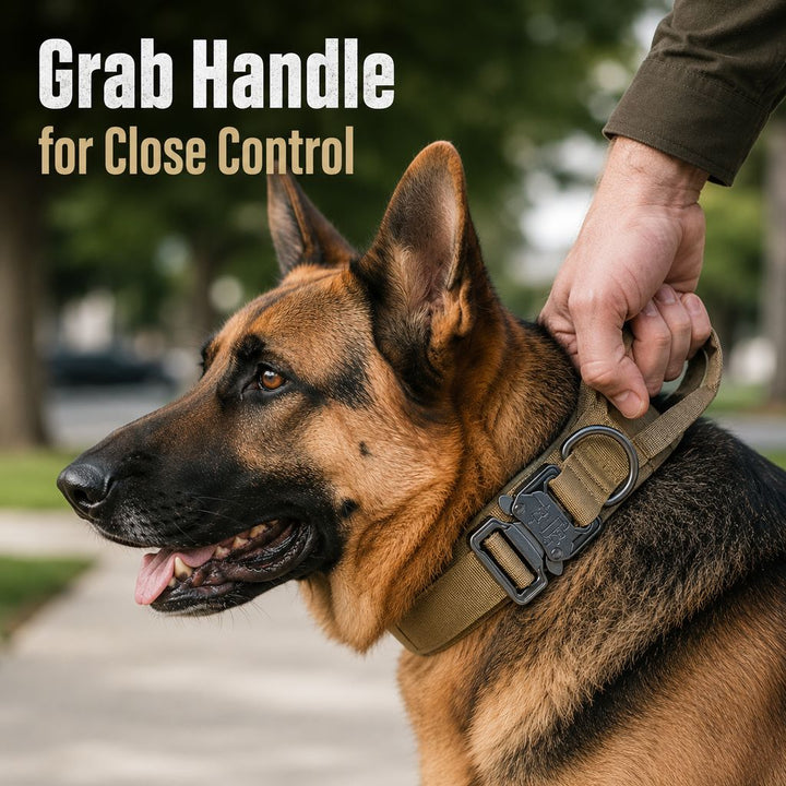 Heavy-Duty Tactical Dog Collar for Walks & Training