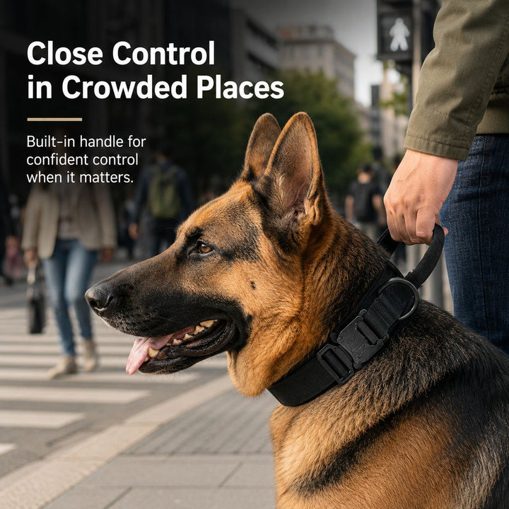 Heavy-Duty Tactical Dog Collar for Walks & Training