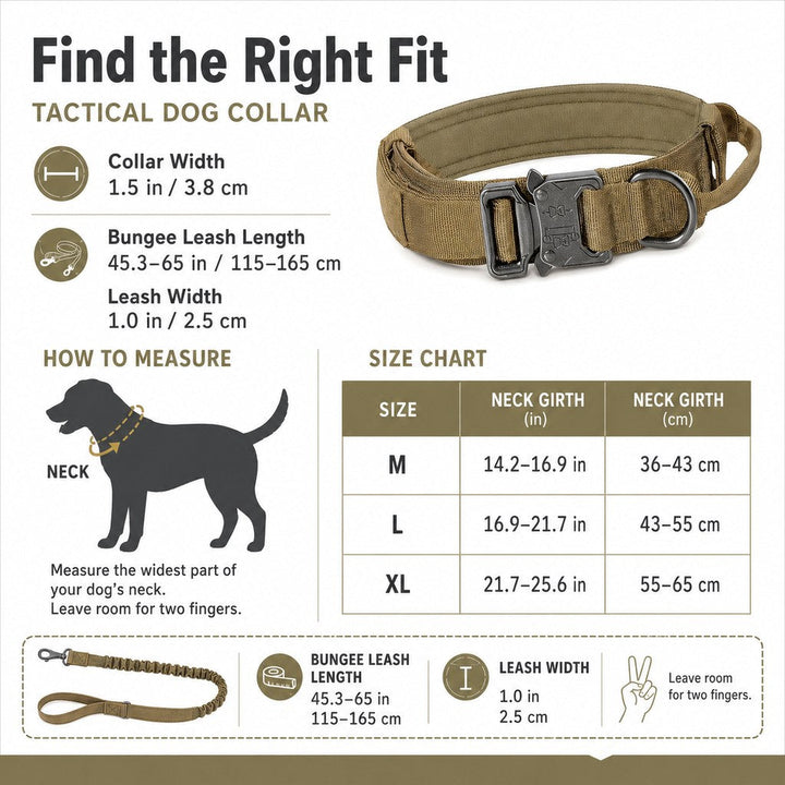 Heavy-Duty Tactical Dog Collar for Walks & Training