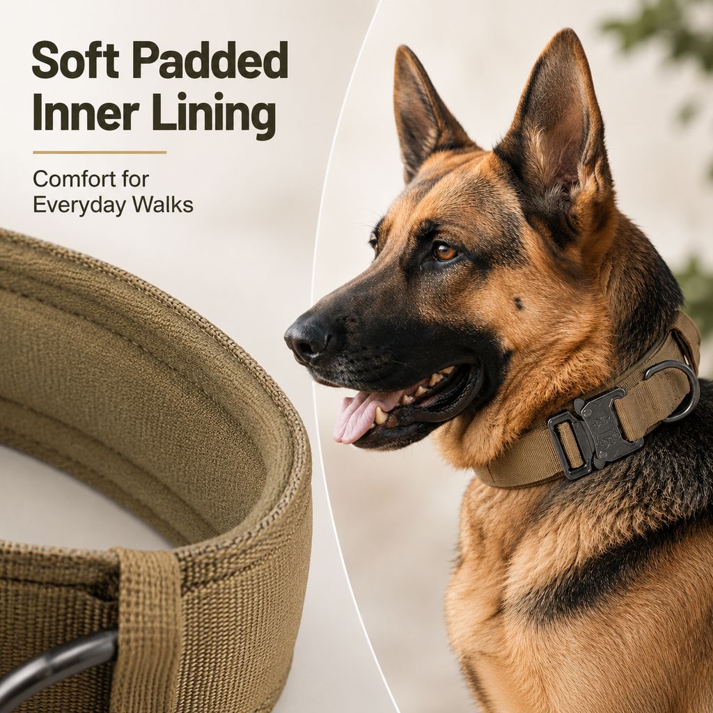 Heavy-Duty Tactical Dog Collar for Walks & Training