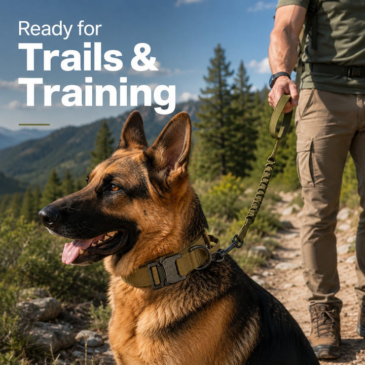 Heavy-Duty Tactical Dog Collar for Walks & Training