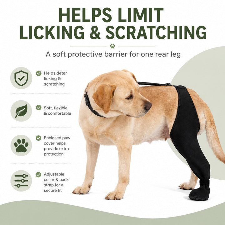 Adjustable Dog Rear Leg Recovery Sleeve with Paw Cover