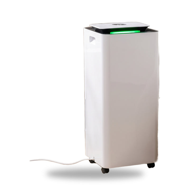 Dehumidifier and Air Purifier