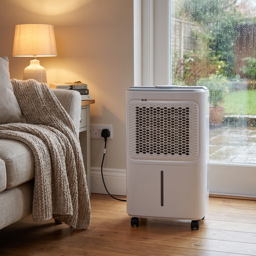 Quiet 12L Dehumidifier in a living room on a rainy day