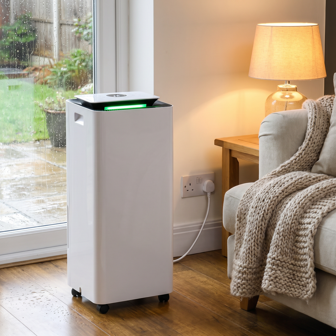 Dehumidifier and Air Purifier in a living room on a rainy day
