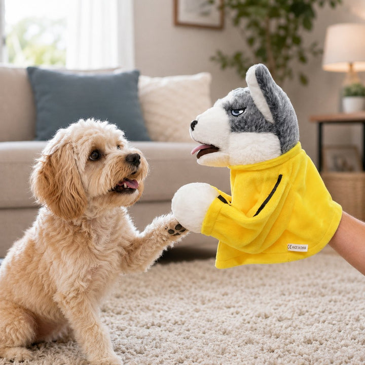 Interactive Boxing Pet Puppet for Indoor Play