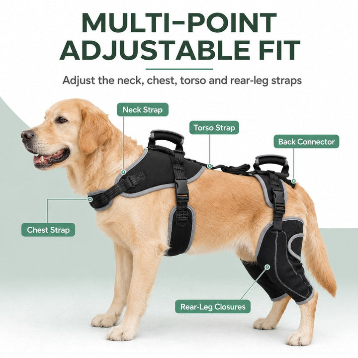 Full-Body Dog Lift Harness with Dual Rear-Leg Support | Easier Standing, Stairs & Car Entry