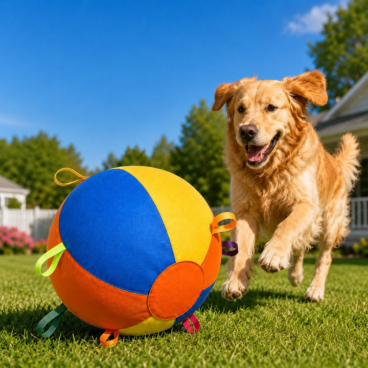 Inflatable Dog Play Ball for Backyard & Indoor Play