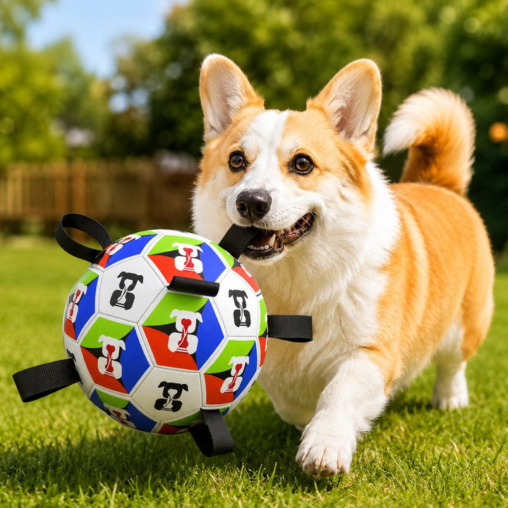 Interactive Dog Soccer Ball with Grab Tabs for Backyard Fetch & Tug