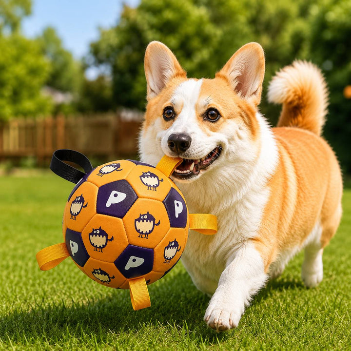 Interactive Dog Soccer Ball with Grab Tabs for Backyard Fetch & Tug