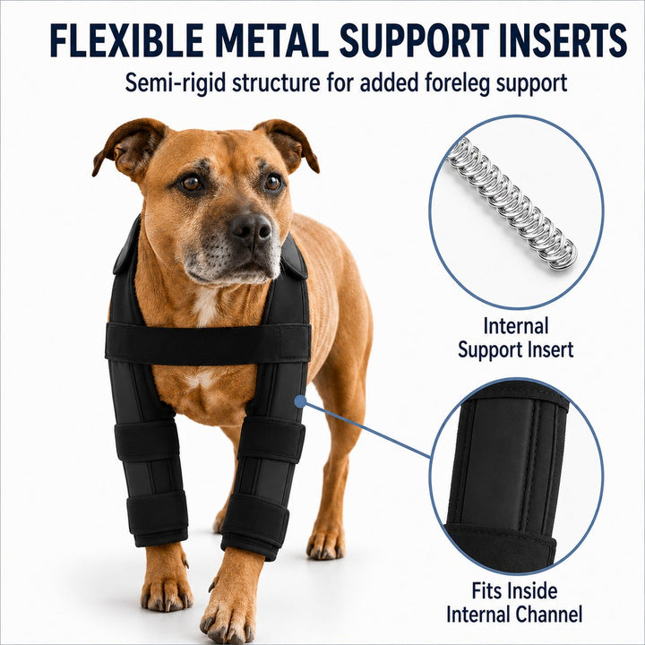 Dog Double Front Leg Support Brace for Unsteady Walking
