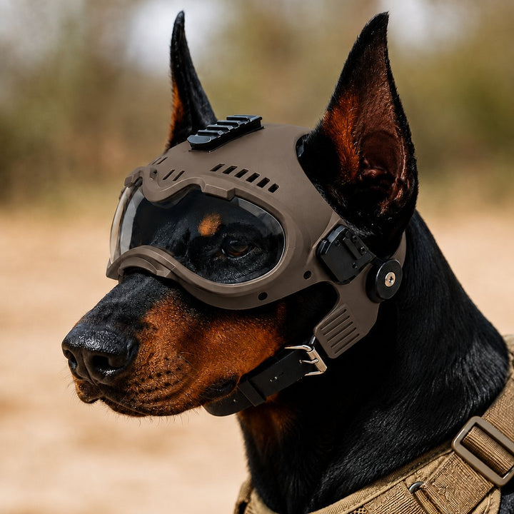 K9 Tactical-Style Dog Helmet with Goggles for Hiking & Outdoor Training