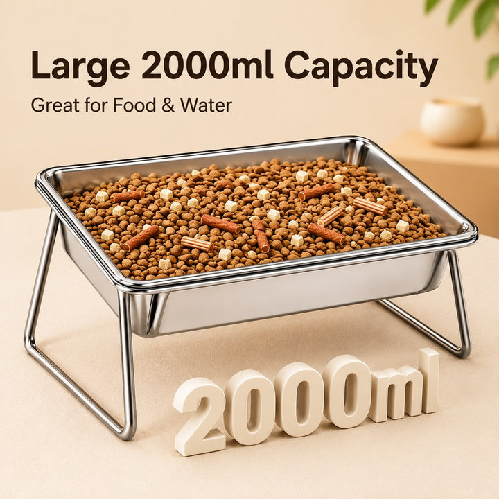 Elevated 304 Stainless Steel Pet Bowl with Stand for Cats & Dogs