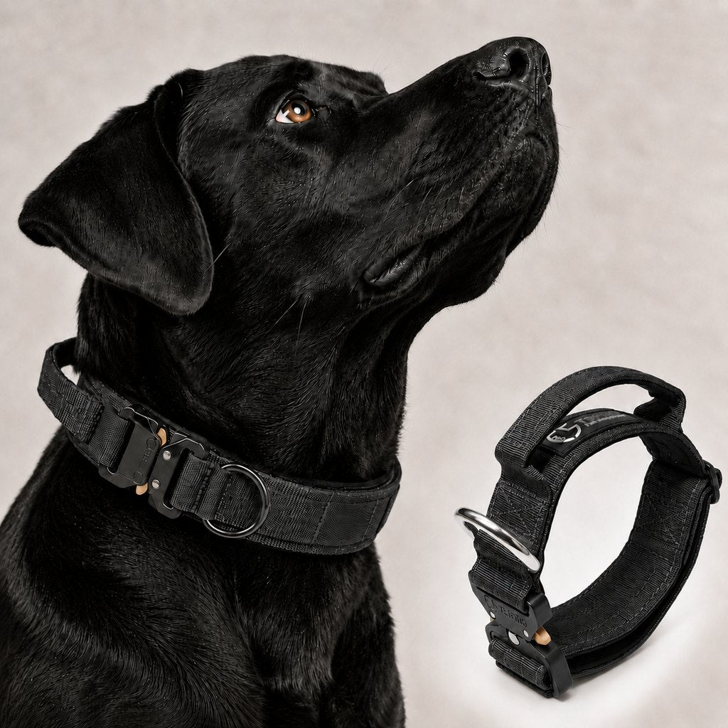 Large Dog Tactical Collar with Control Handle