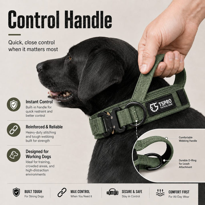 Large Dog Tactical Collar with Control Handle