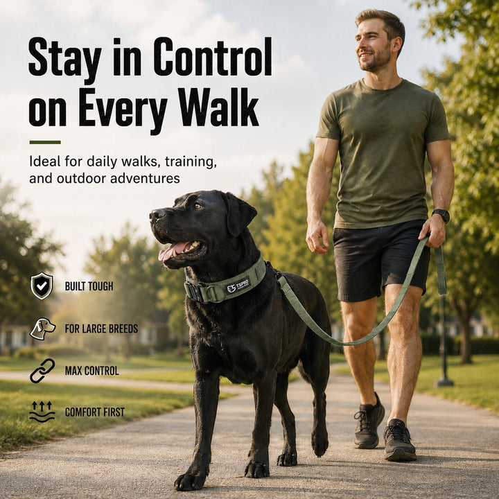 Large Dog Tactical Collar with Control Handle