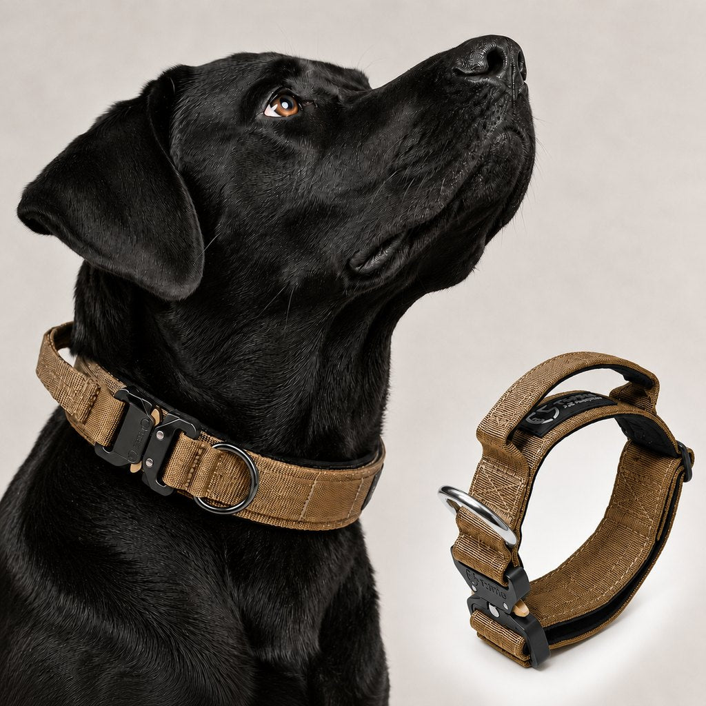 Large Dog Tactical Collar with Control Handle
