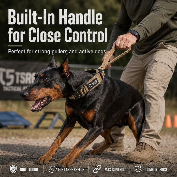 Large Dog Tactical Collar with Control Handle