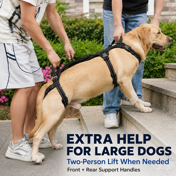 Full Body Dog Lift Harness for Stairs & Car | Mobility Support for Weak Hind Legs