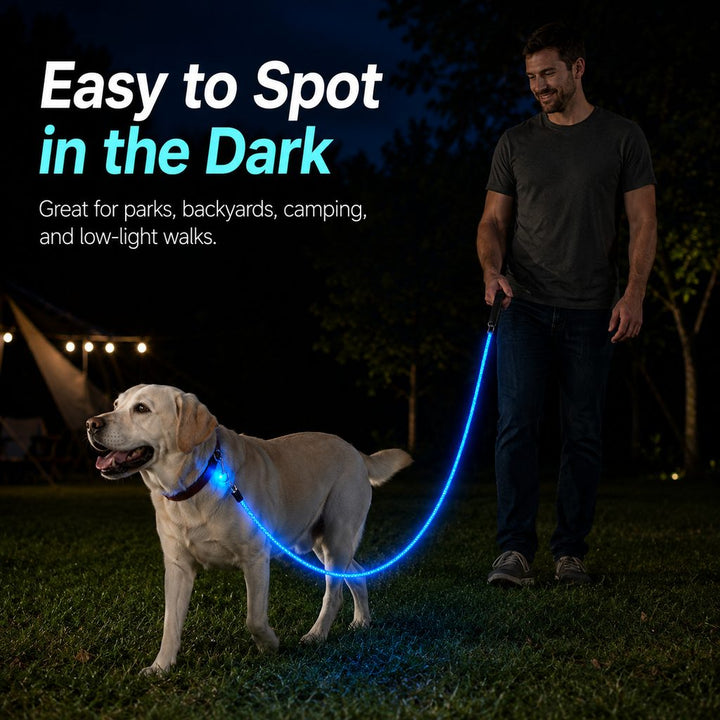 NightGlow LED Light-Up Dog Leash for Night Walks