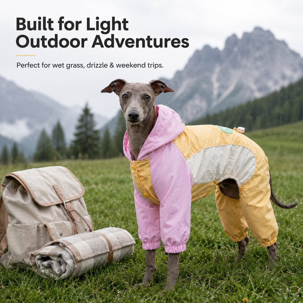 Waterproof Dog Rain Suit for Rainy Walks | Full-Body Mud & Splash Protection