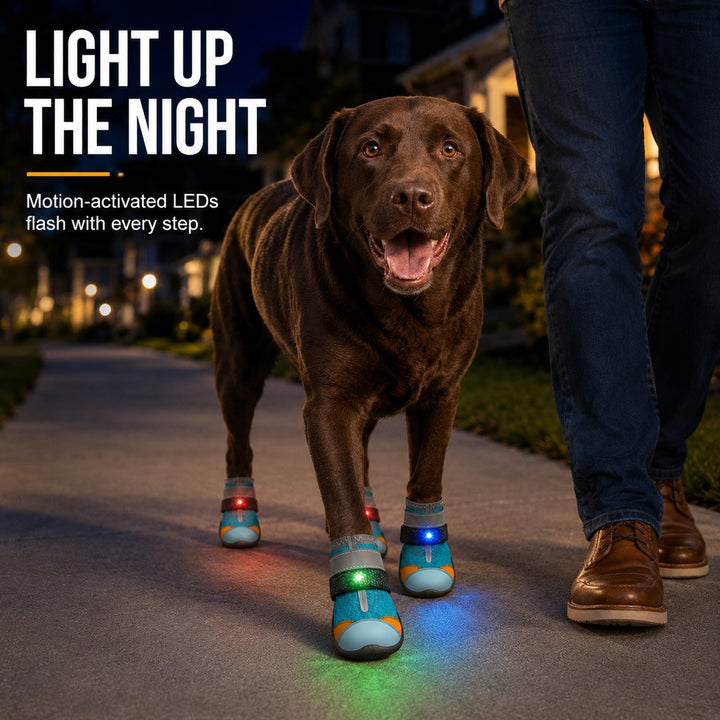 Motion-Activated LED Dog Boots for Night Walks