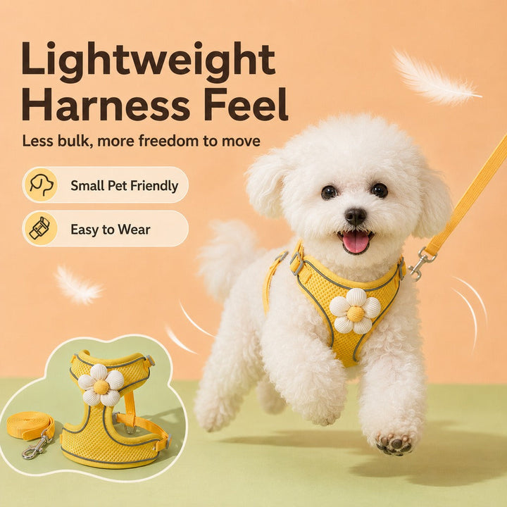 Daisy Pet Harness & Leash Set for Daily Walks