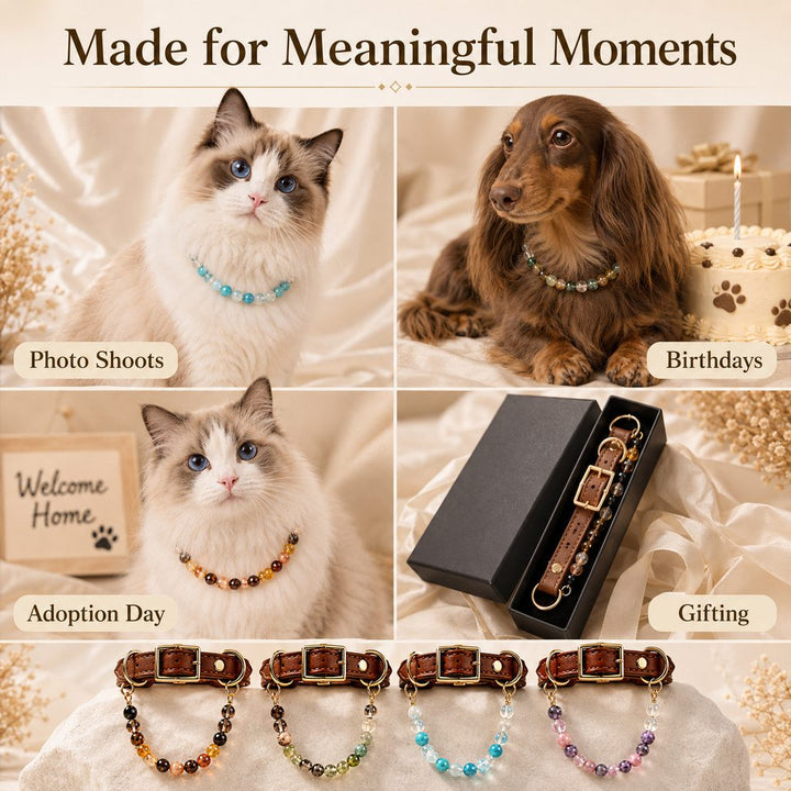 Four Elements Crystal Pet Collar Gift Box for Cats & Small Dogs
