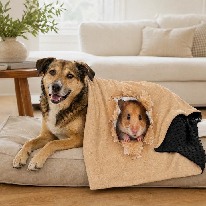Layered Minky Pet Comfort Blanket for Dog Beds, Quiet Corners & Noisy Moments
