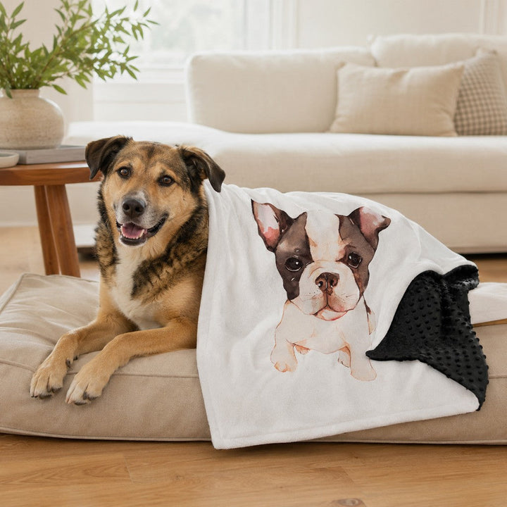 Layered Minky Pet Comfort Blanket for Dog Beds, Quiet Corners & Noisy Moments