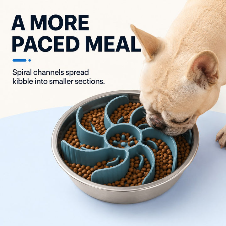 Cut-to-Fit Slow Feeder Insert & Stainless Steel Bowl Set for Fast-Eating Dogs & Cats