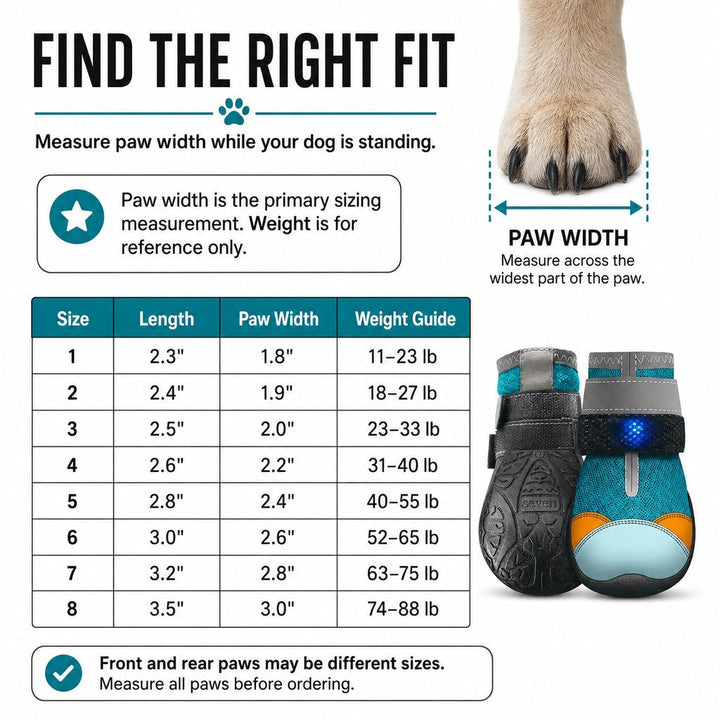 Motion-Activated LED Dog Boots for Night Walks