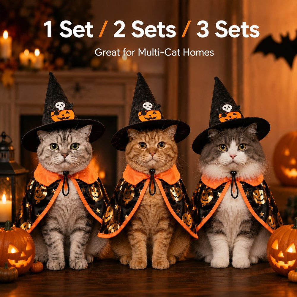 Halloween Cat Witch Hat & Cape Costume Set for Party Photos | Easy Festive Look for Cats