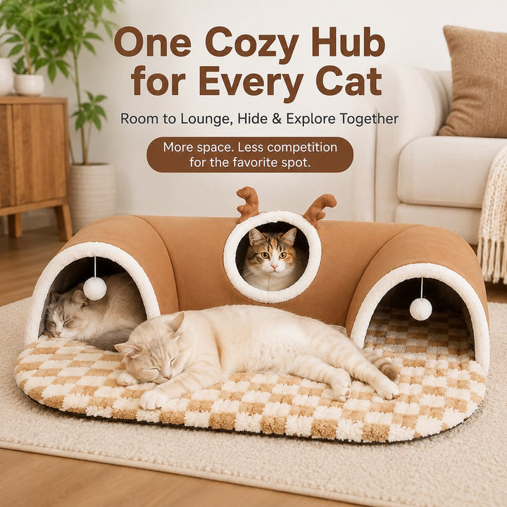 3-in-1 Multi-Cat Tunnel Bed & Play Mat for Indoor Cats