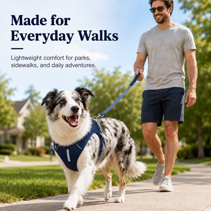 Reflective Dog Harness for Night Walks, Daily Park Walks & No-Neck-Pull Comfort